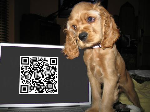 Sheba and a QR Code